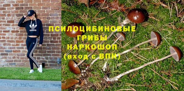 индика Покачи