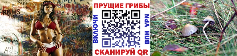 Псилоцибиновые грибы GOLDEN TEACHER  Наволоки 
